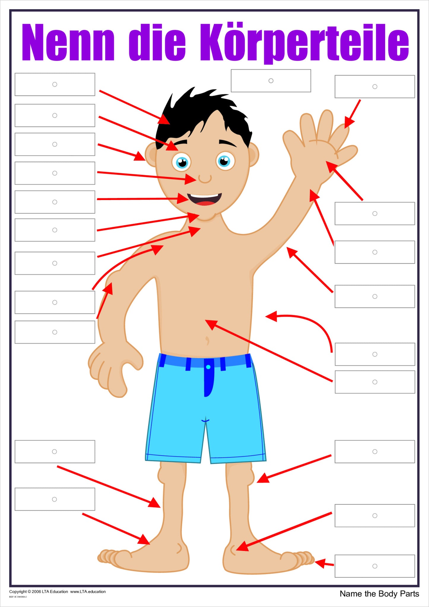 'The Body' Interactive Chart