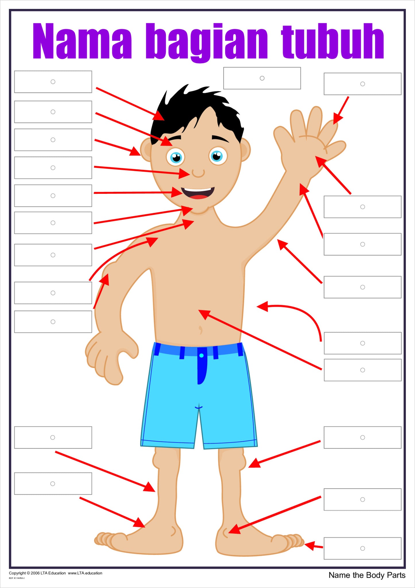 'The Body' Interactive Chart