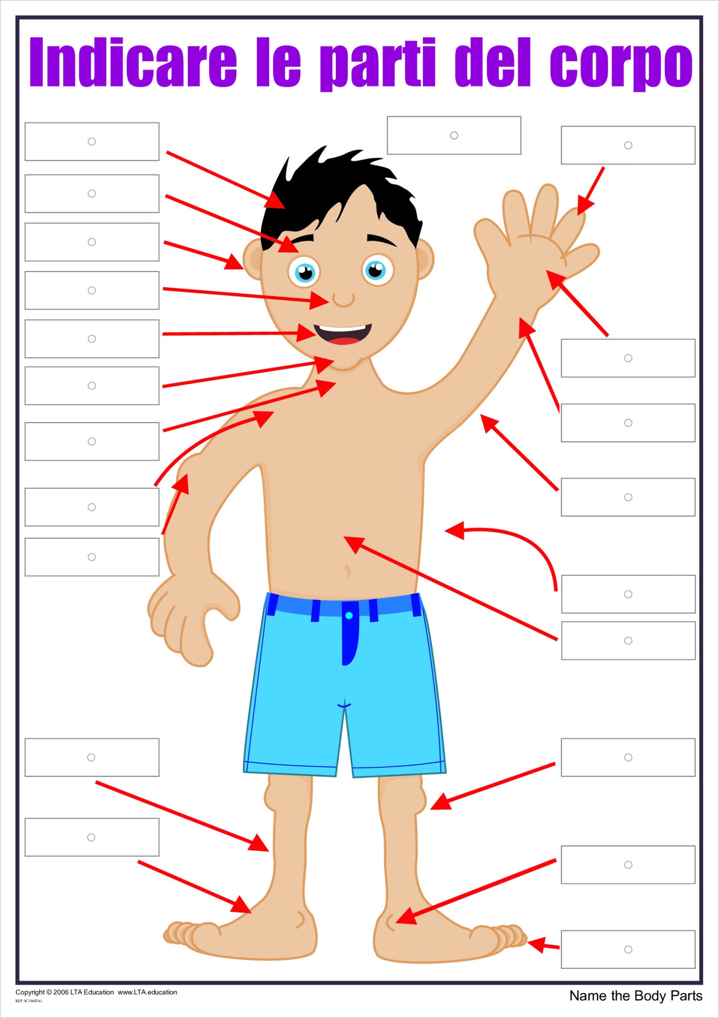 'The Body' Interactive Chart