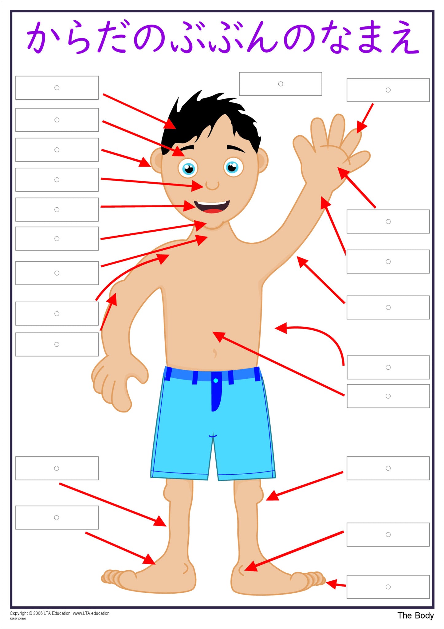 'The Body' Interactive Chart