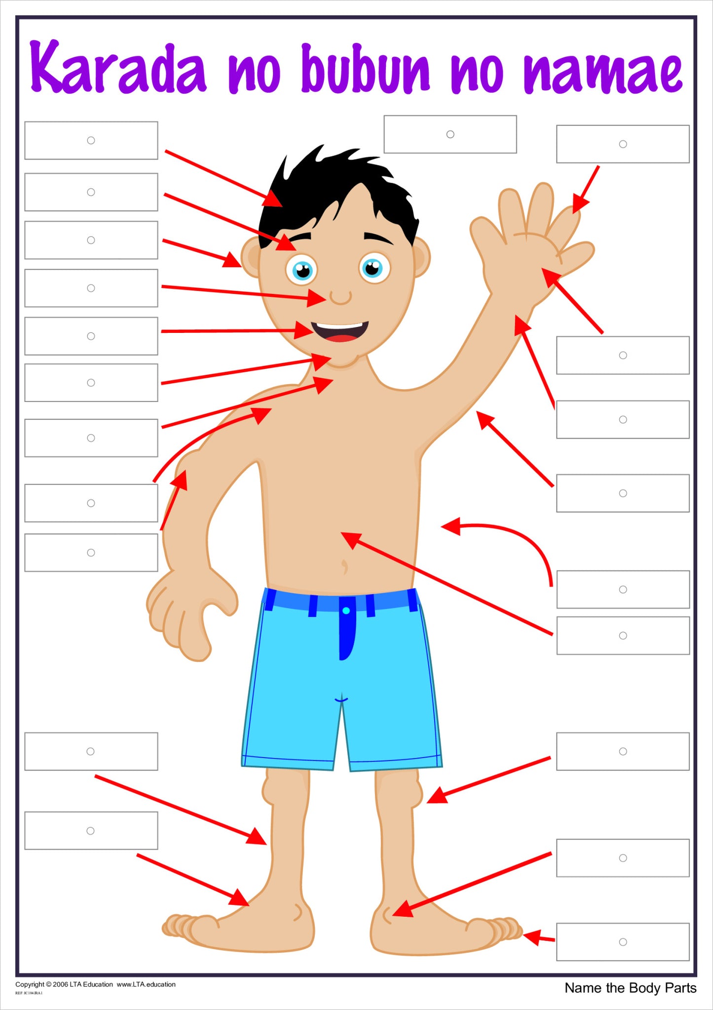 'The Body' Interactive Chart