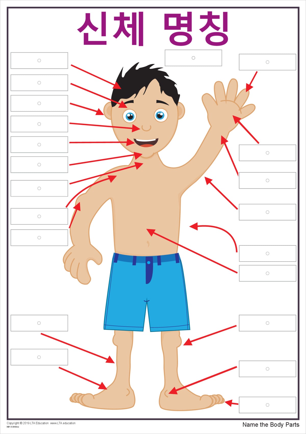Learning Chocolate Body 'The Body' Interactive Chart | Classroom Language Activity – LTA Education
