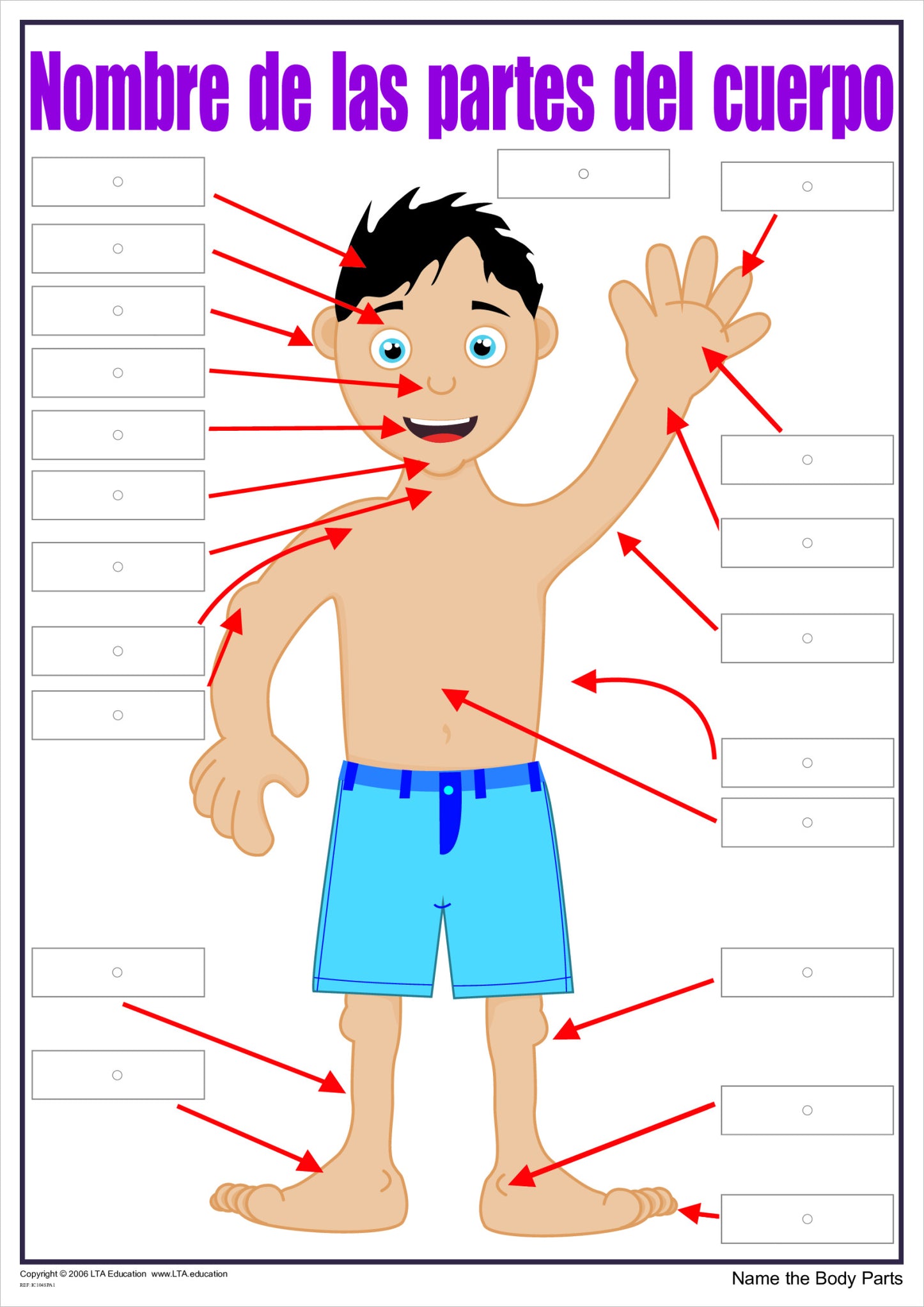 'The Body' Interactive Chart