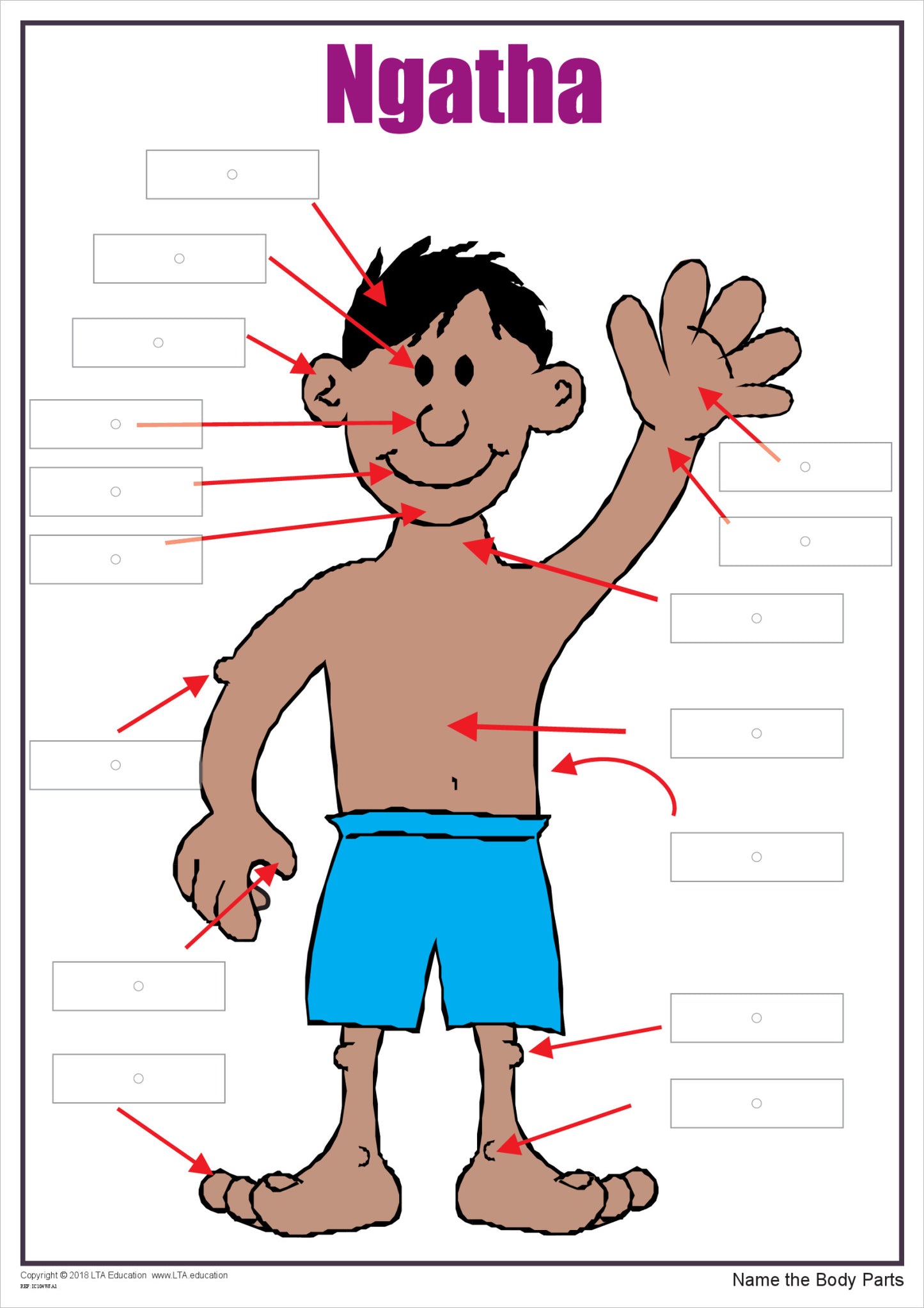 'The Body' Interactive Chart