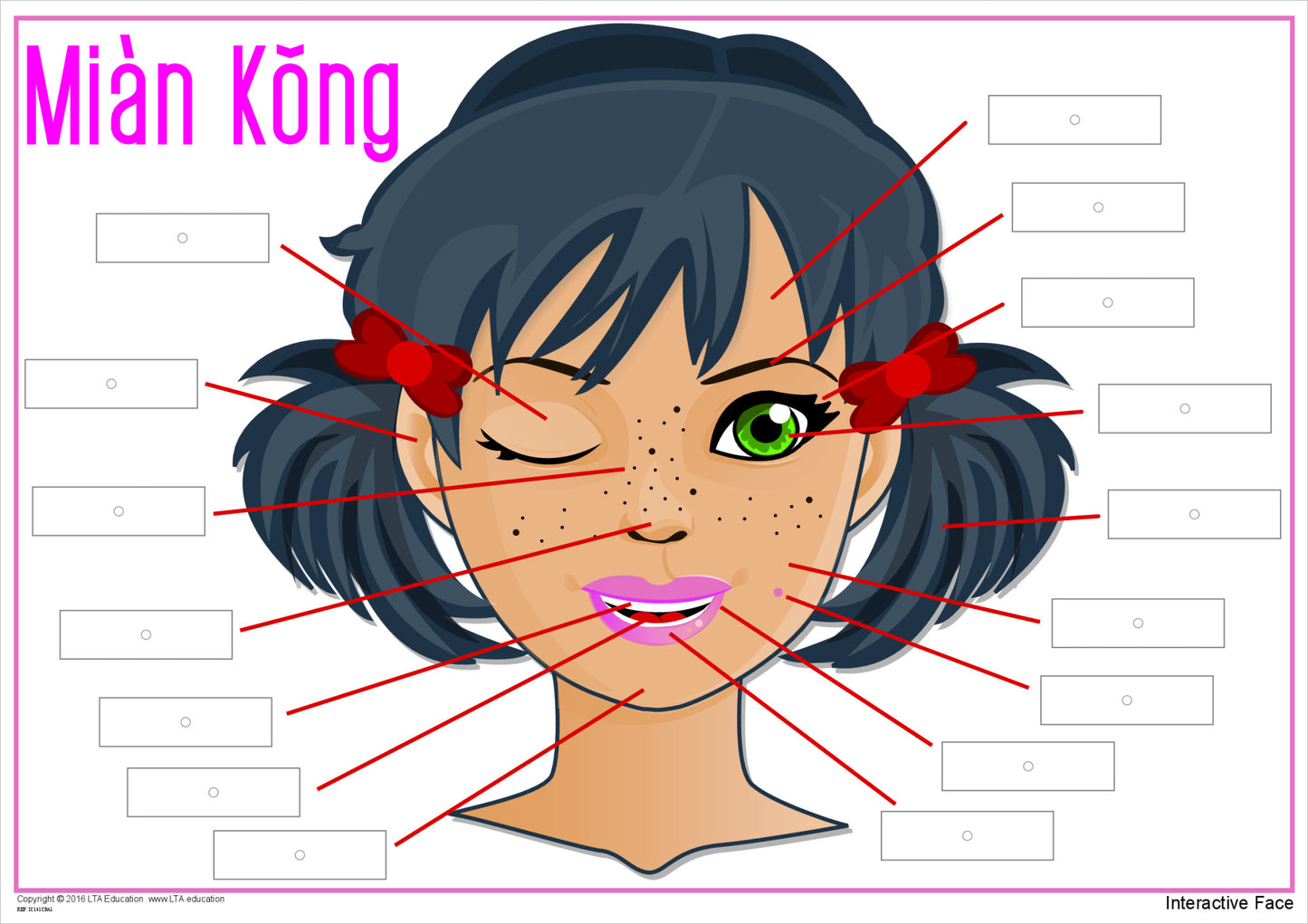 'The Face' Interactive Chart