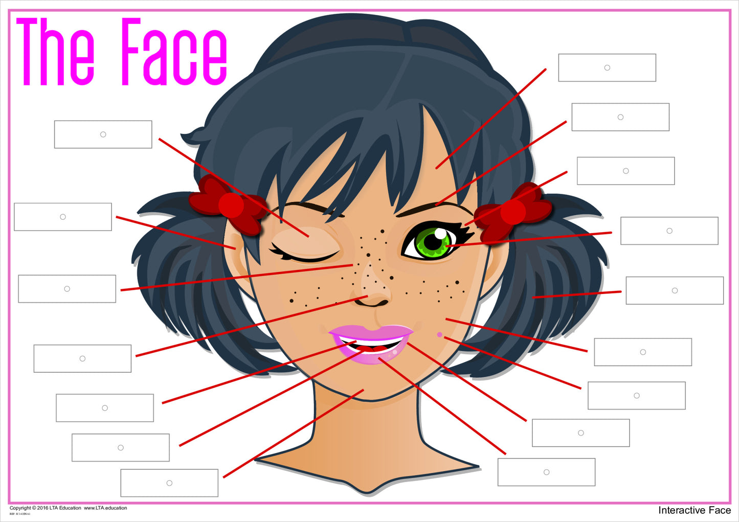 'The Face' Interactive Chart