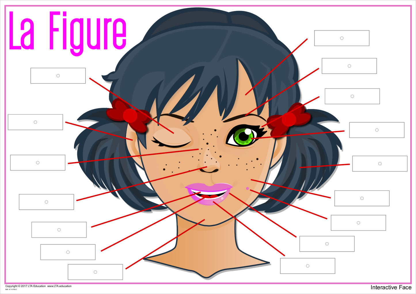 'The Face' Interactive Chart