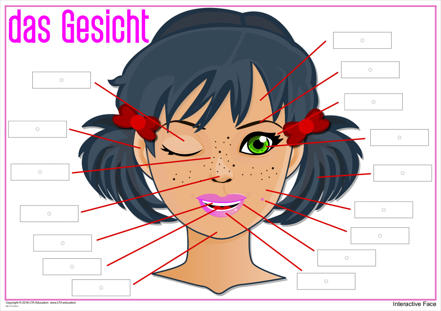 'The Face' Interactive Chart