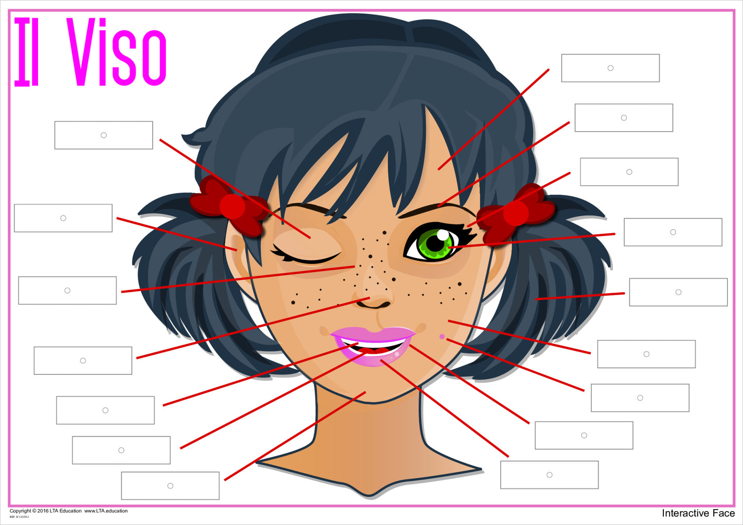 'The Face' Interactive Chart