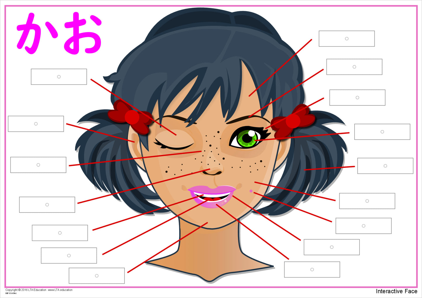 'The Face' Interactive Chart