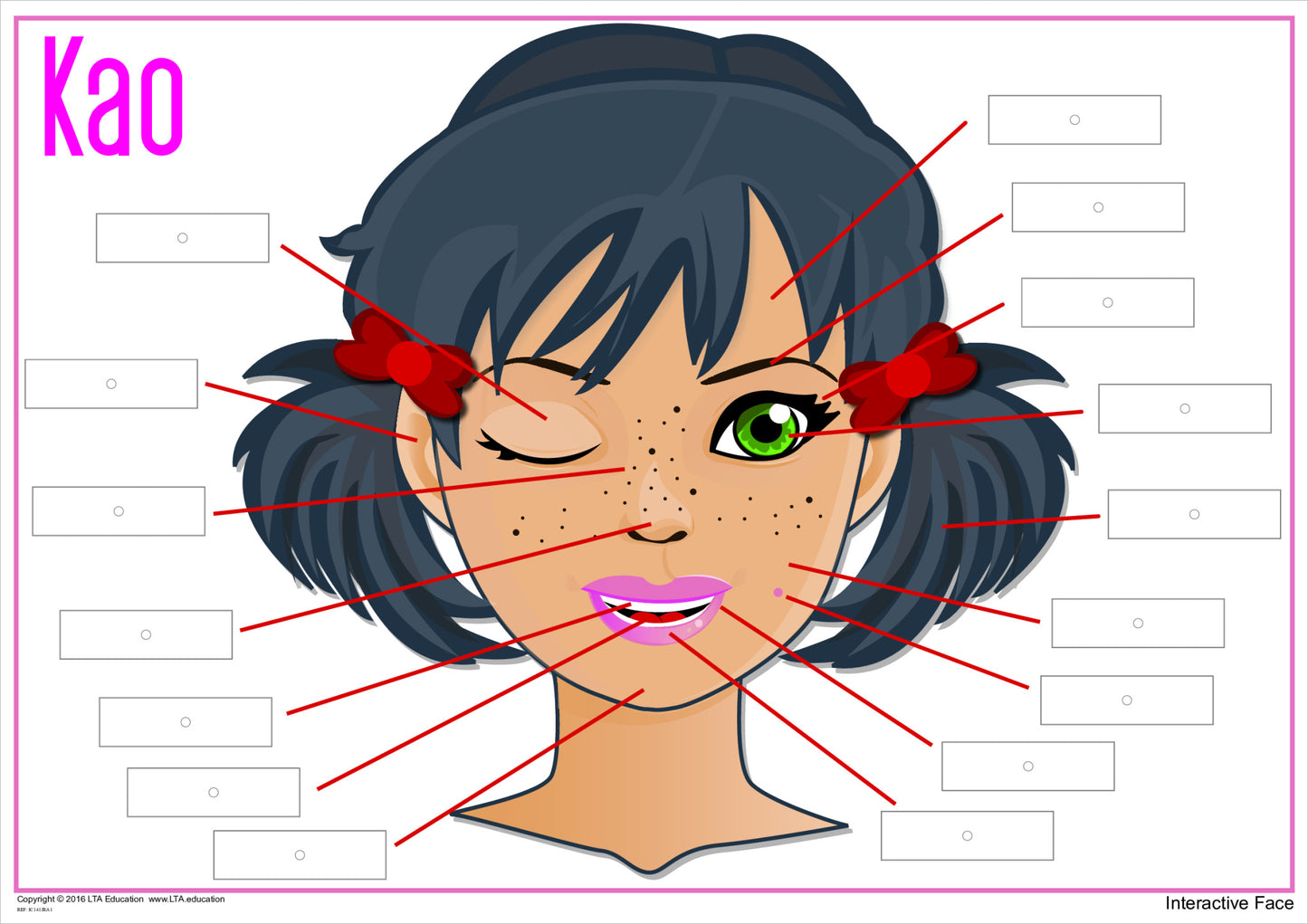 'The Face' Interactive Chart