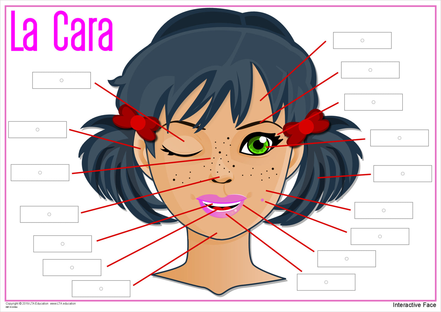 'The Face' Interactive Chart