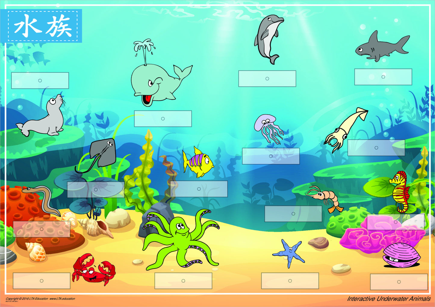 'Underwater Animals' Interactive Chart