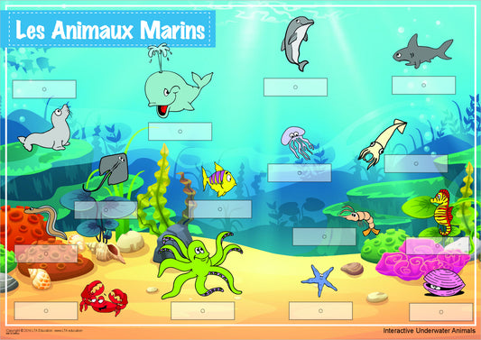 'Underwater Animals' Interactive Chart