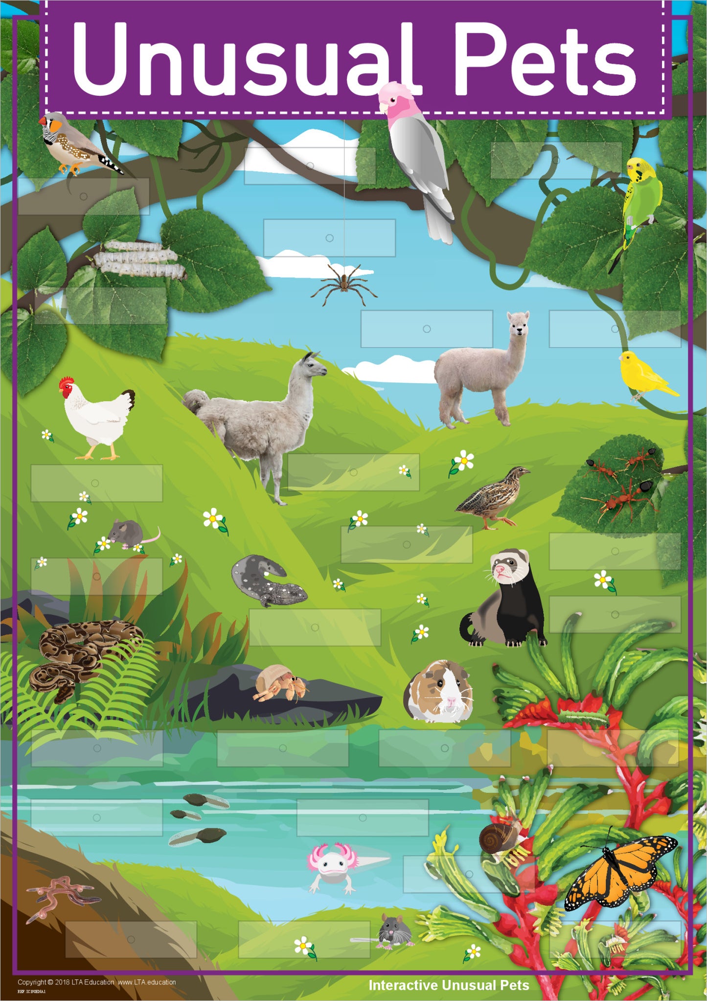 'Unusual Pets' Interactive Chart