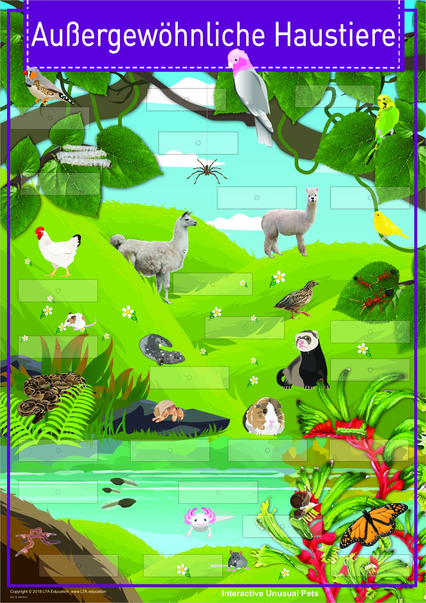 'Unusual Pets' Interactive Chart