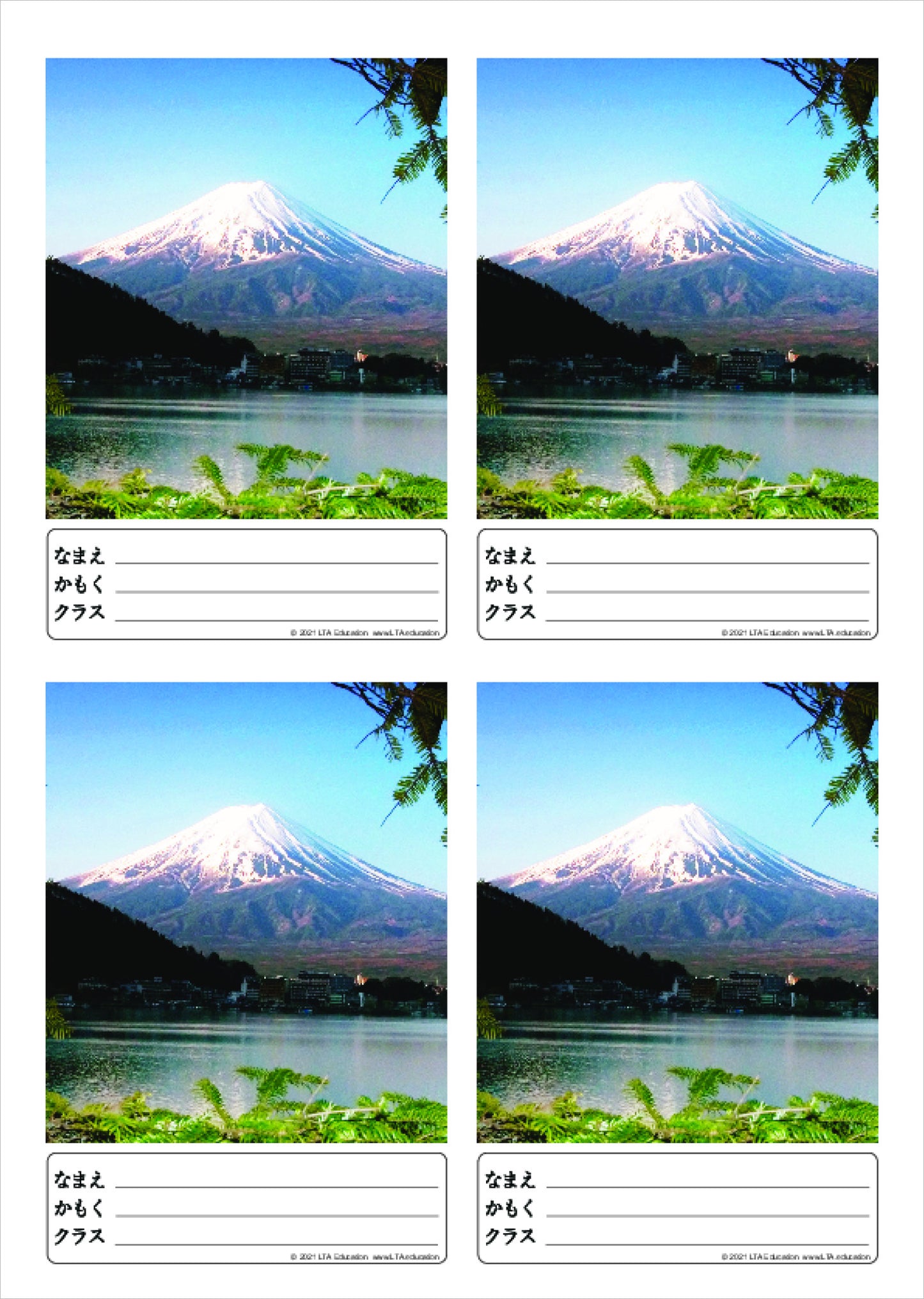 Book Label mixed pack