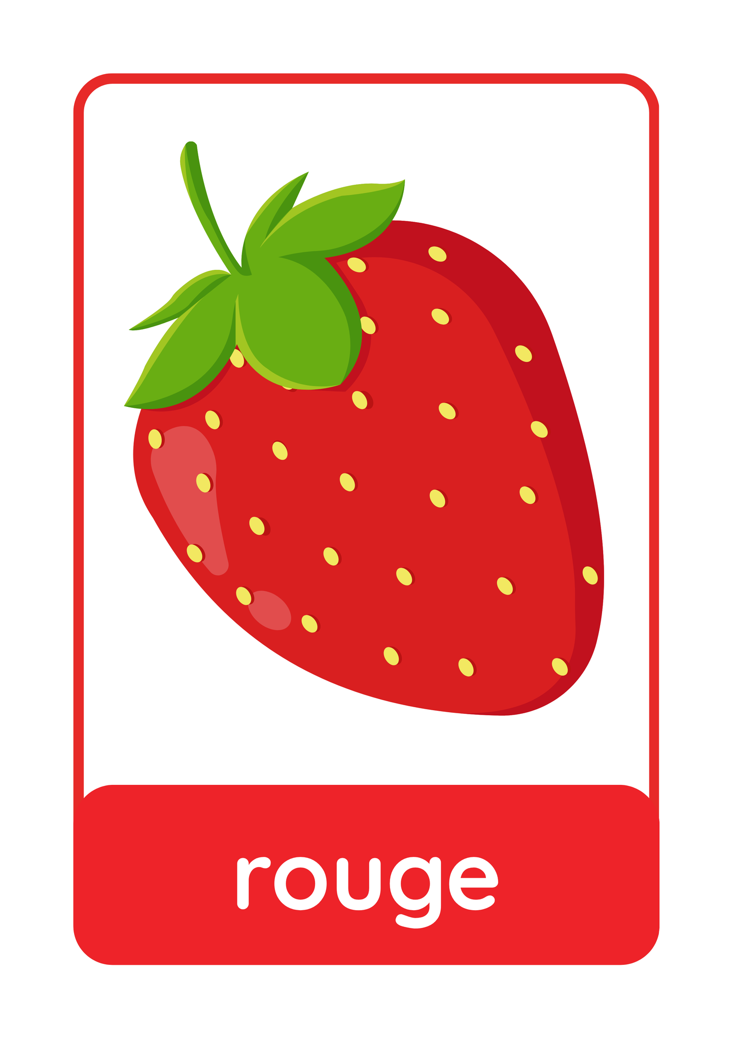 'Colours 3' Vocabulary Cards