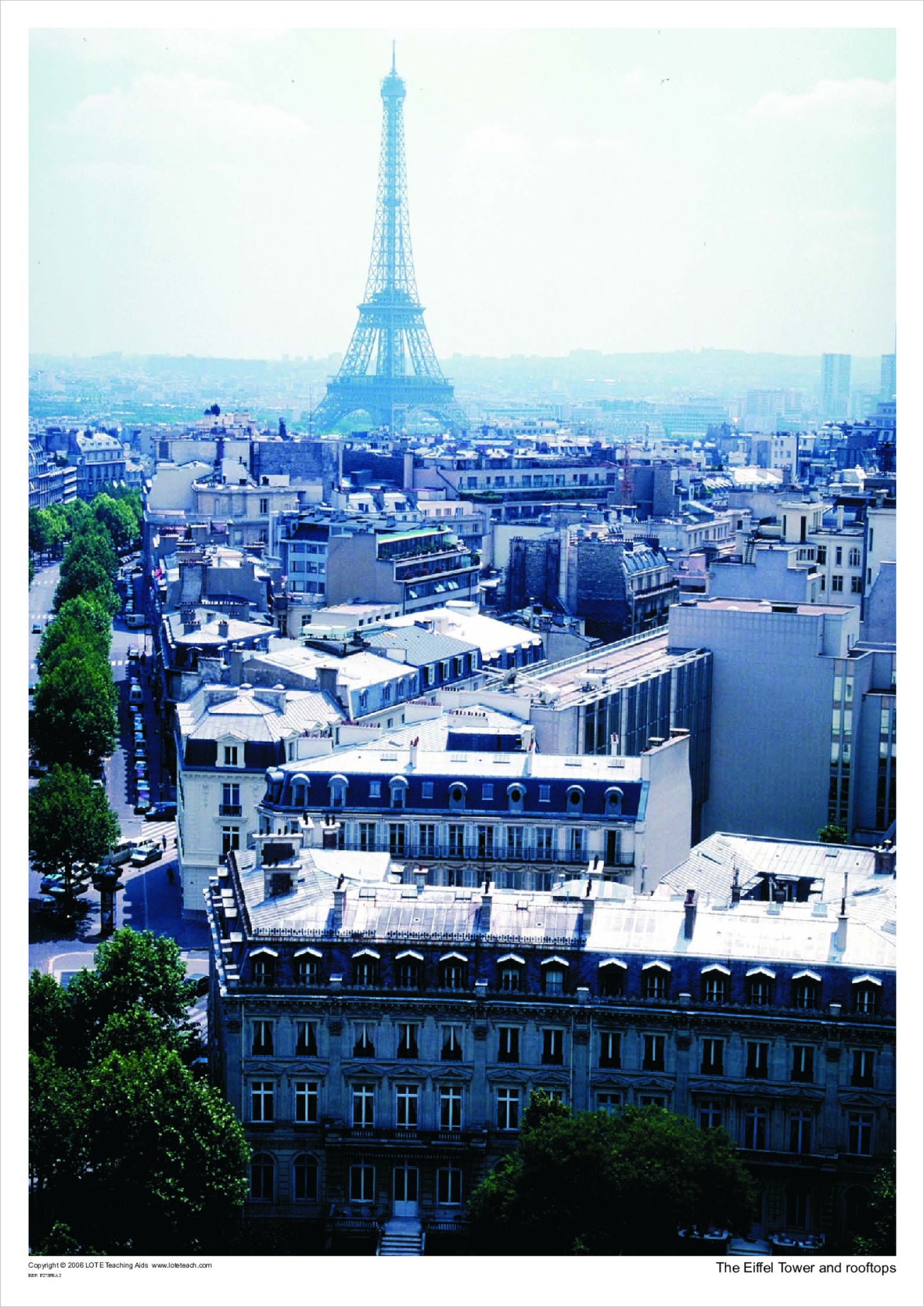 The Eiffel Tower and Rooftops