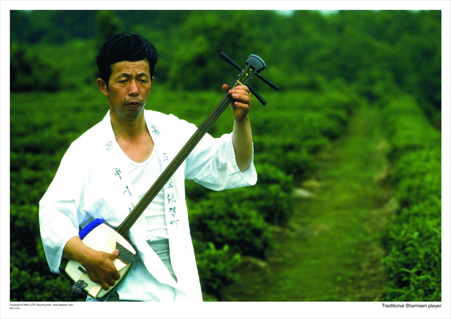 Traditional Shamisen player