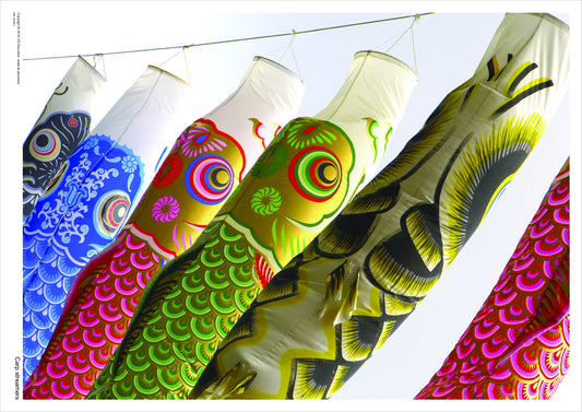 Japanese Carp Windsocks Poster