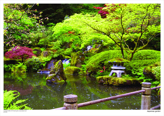 Japanese garden