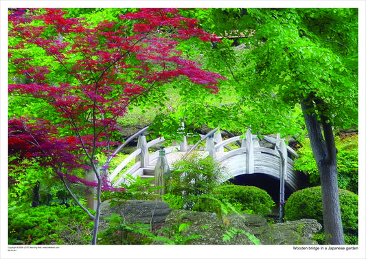 Wooden bridge in a Japanese garden