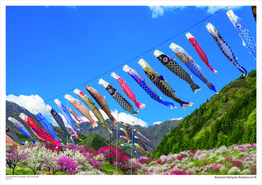 Jigsaw: Koinobori flying, Japan