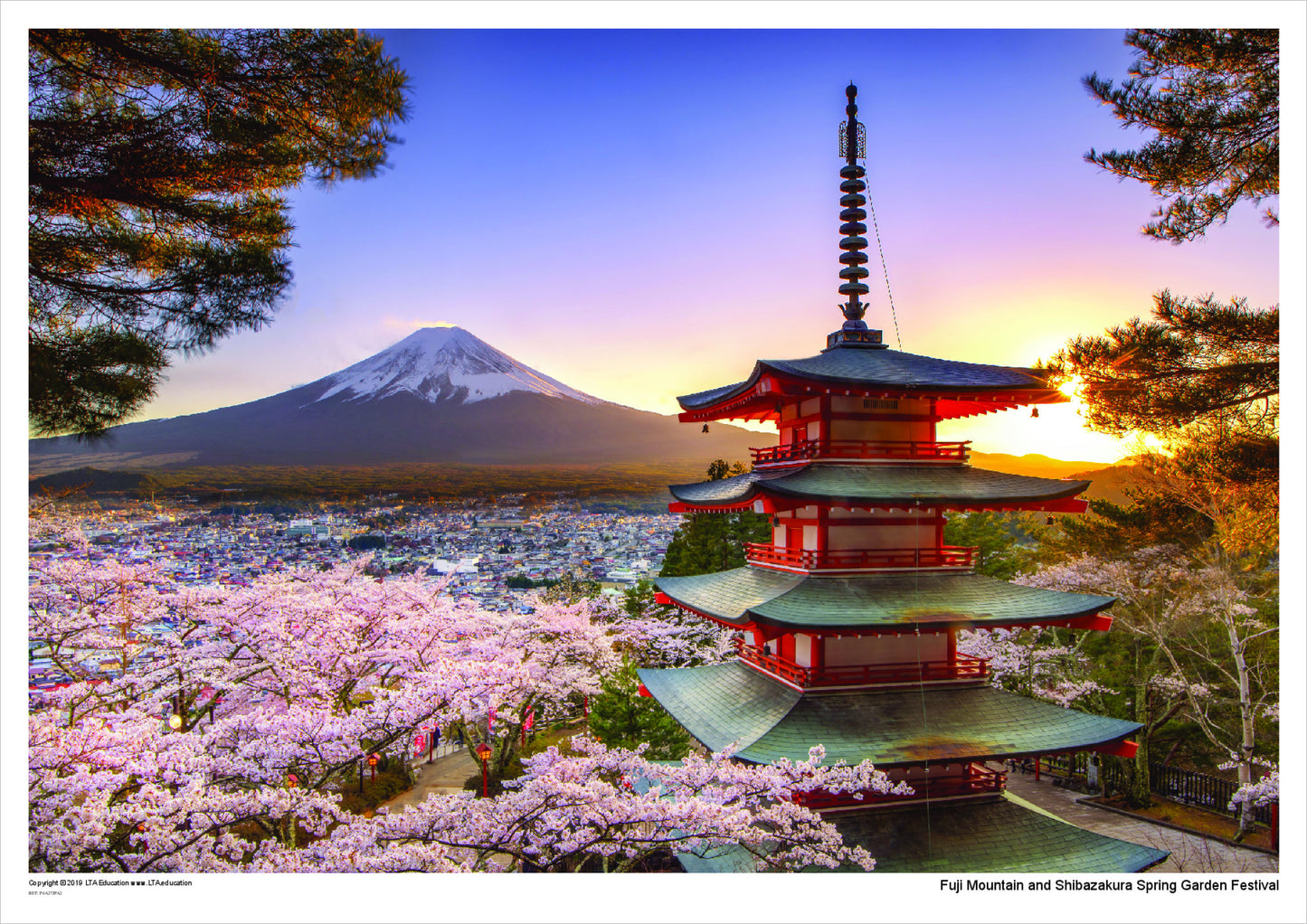 Fuji Mountain and Shibazakura Spring Garden Festival