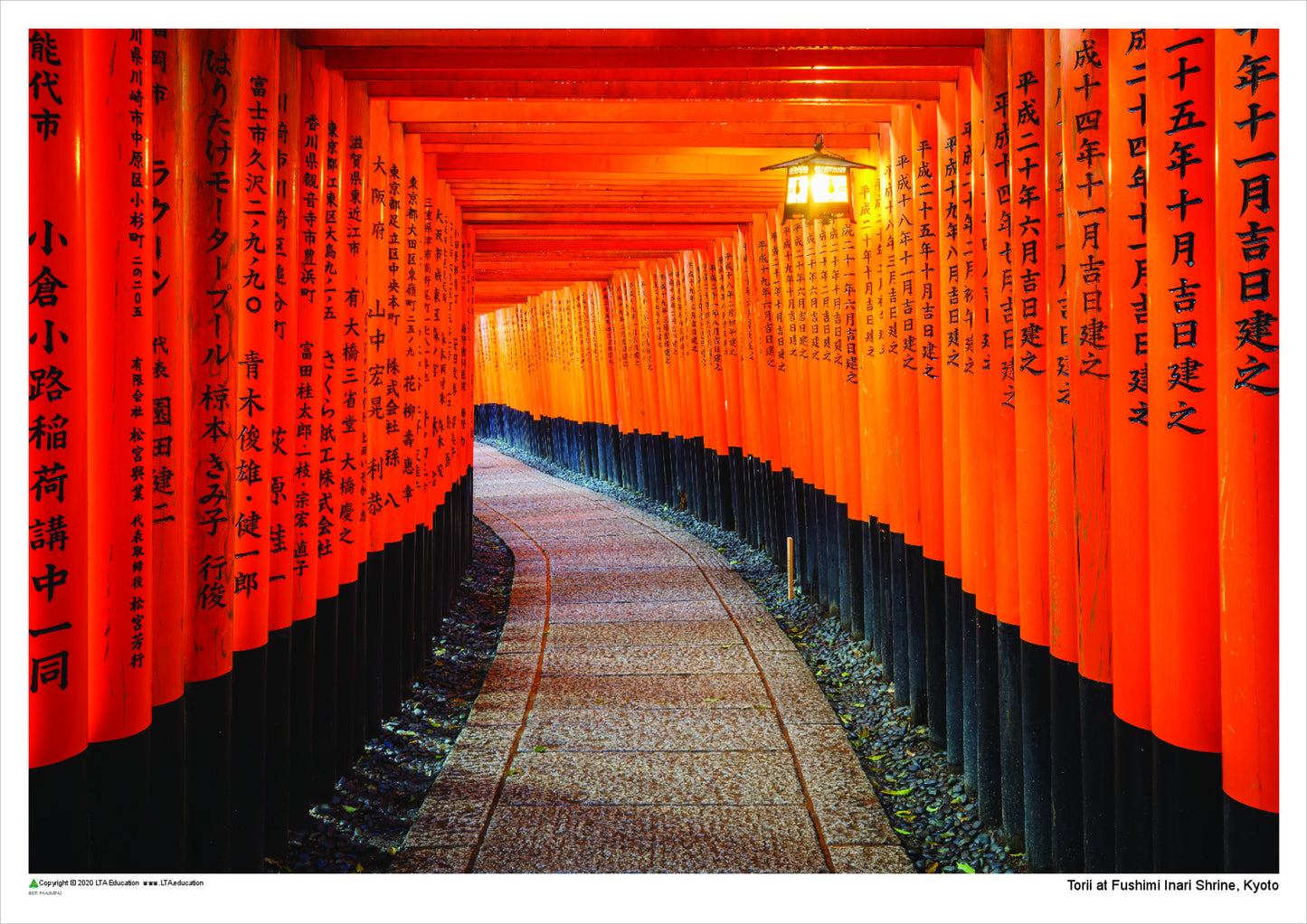 Torii at Fushimi Inari Shrine, Kyoto, Japan