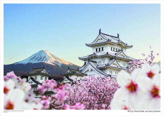 Mt Fuji, Himeji Castle, and Cherry Blossom Poster