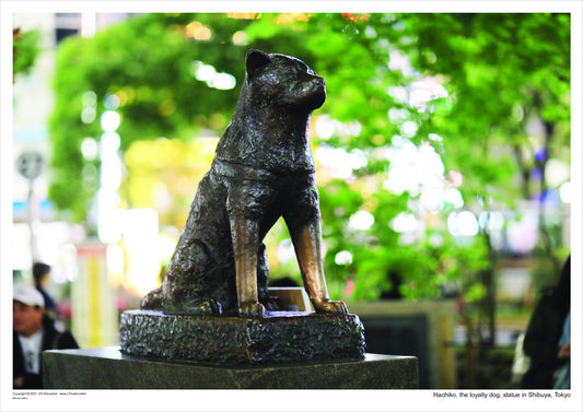Hachiko, the loyalty dog, statue in Shibuya, Tokyo