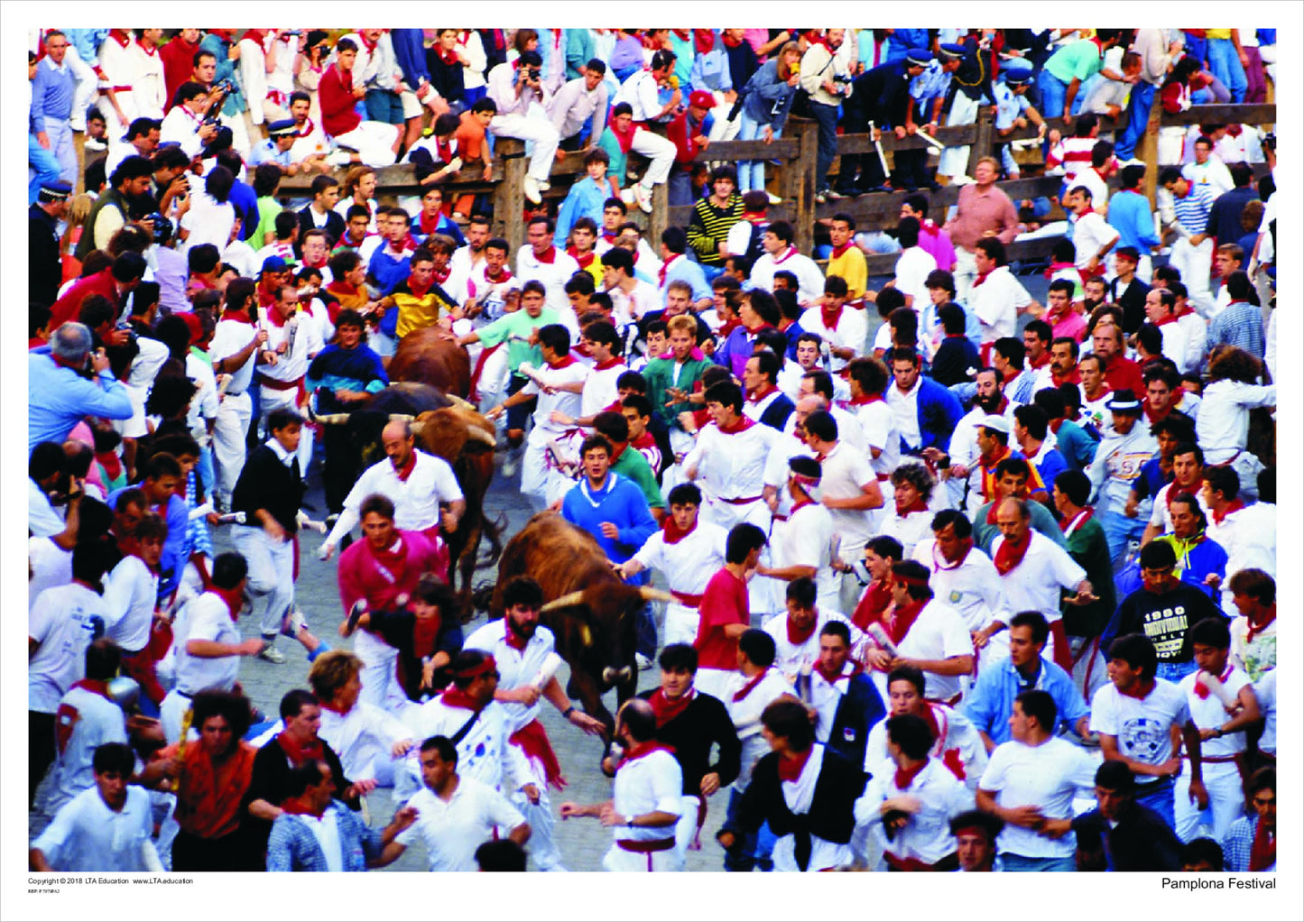 Pamplona Festival