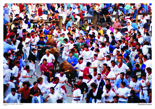 Pamplona Festival