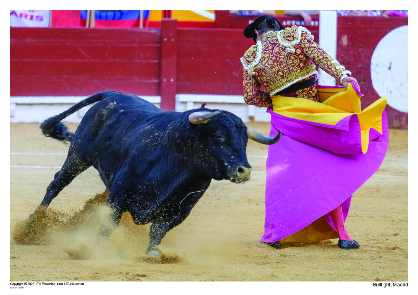 Bullfight, Madrid