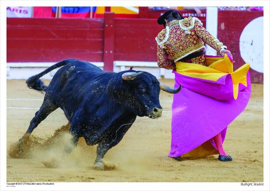 Bullfight, Madrid