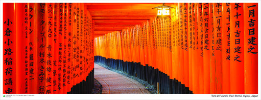 Torii at Fushimi Inari Shrine, Kyoto, Japan