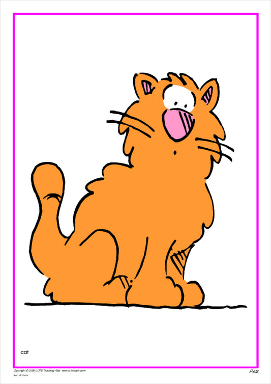 'Pets' Picture Cards