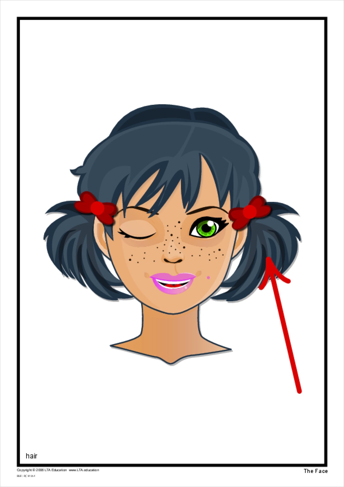 'The Face' Picture Cards