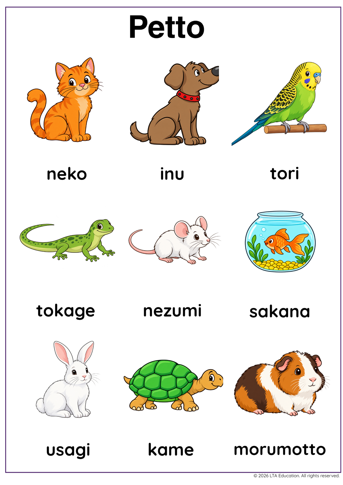 Pets Bundle