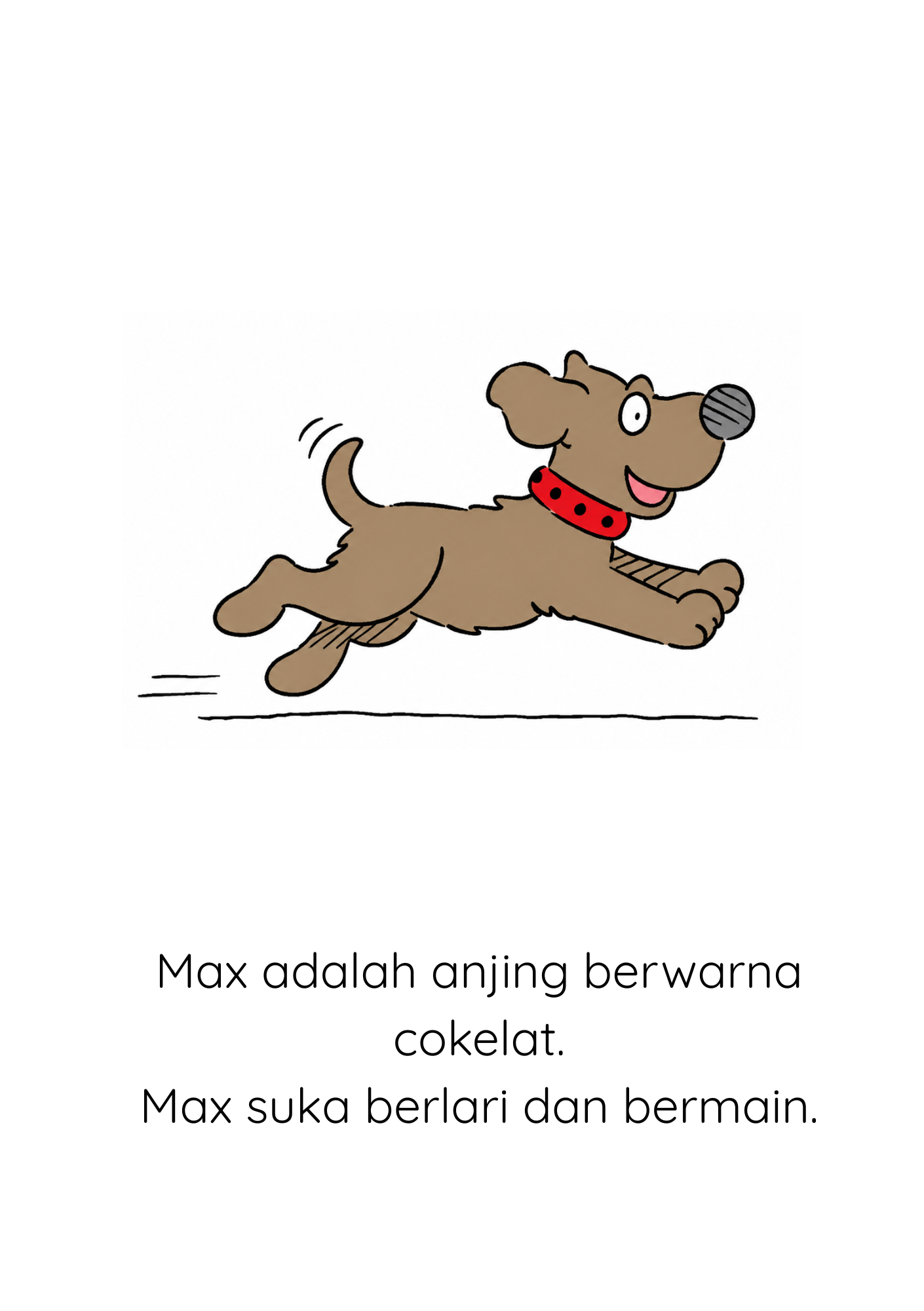 Pets Mini-Reader