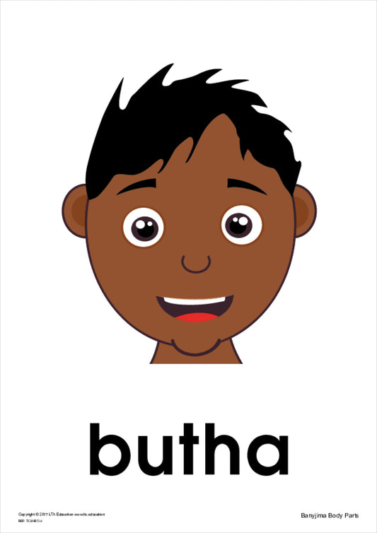 The Body Theme Cards