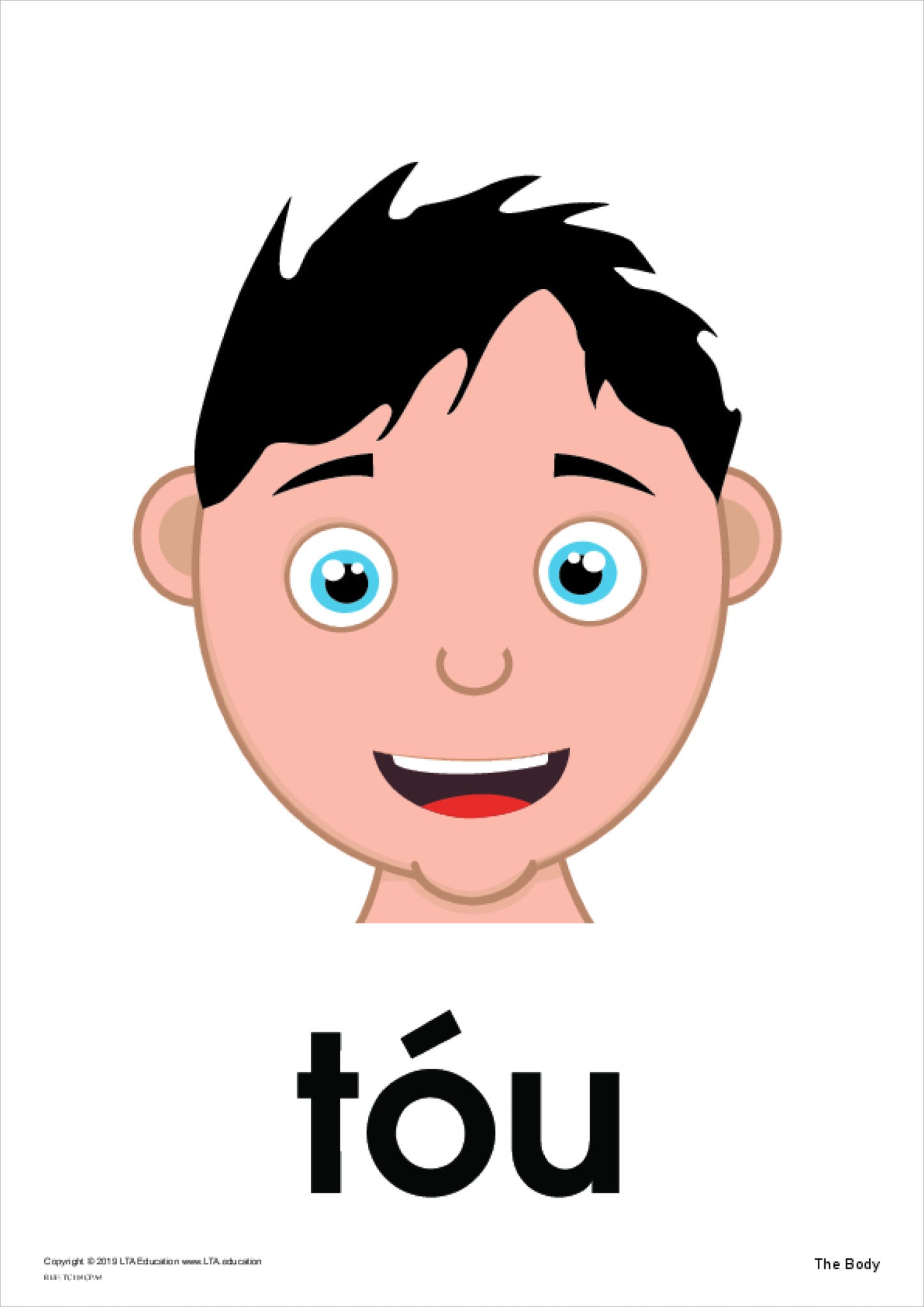 The Body Theme Cards