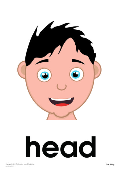 The Body Vocabulary Cards
