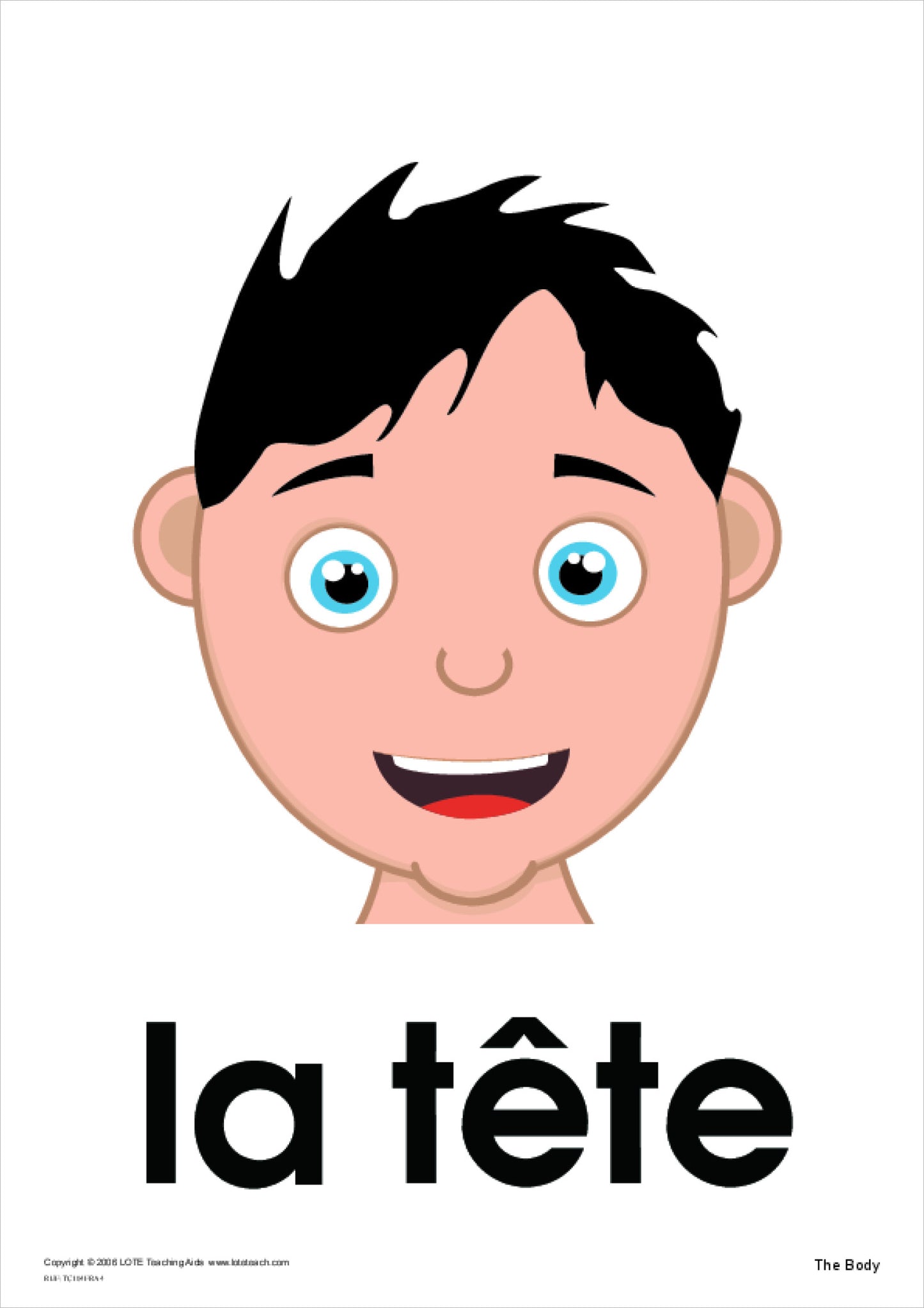 The Body Theme Cards