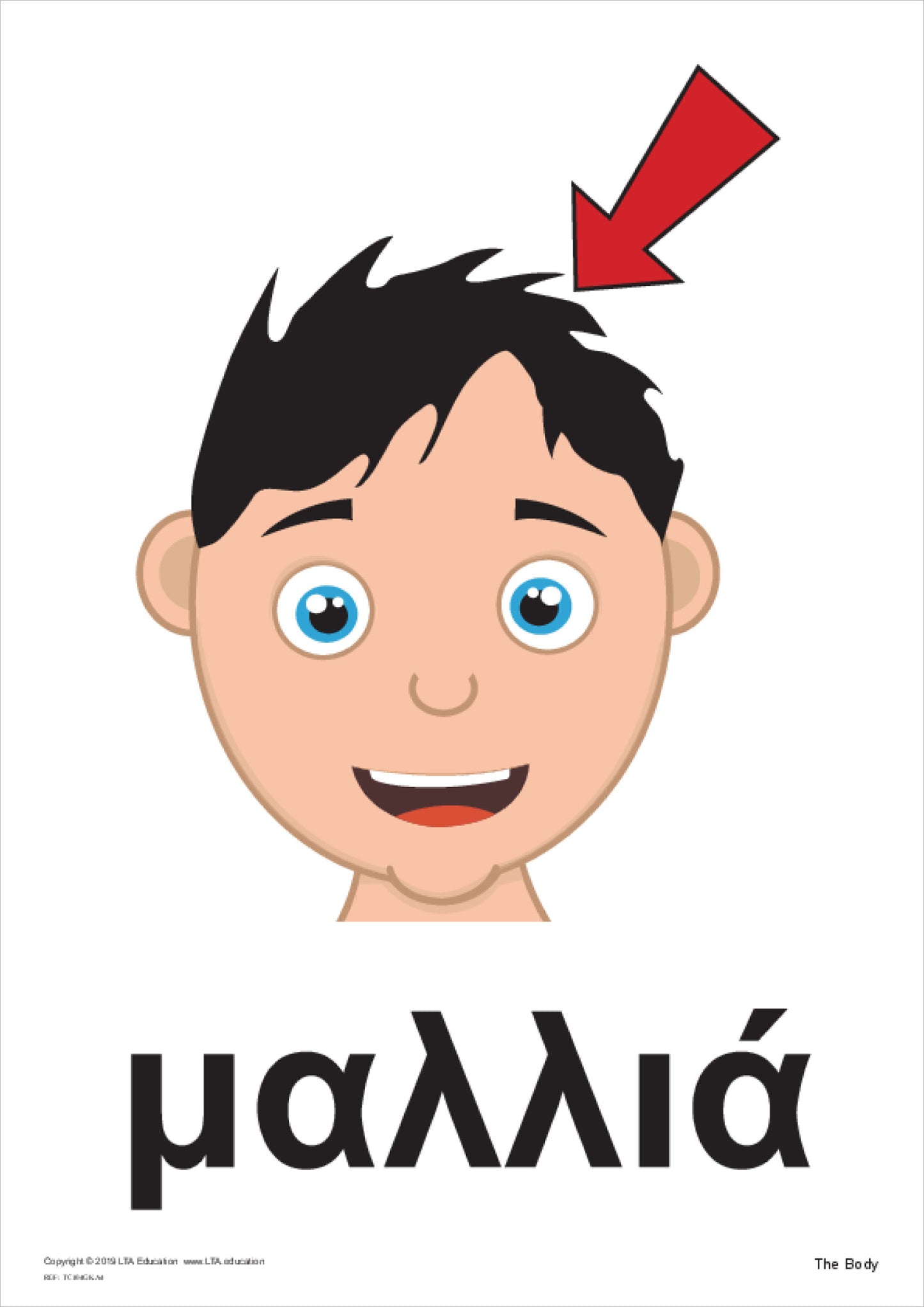 The Body Theme Cards