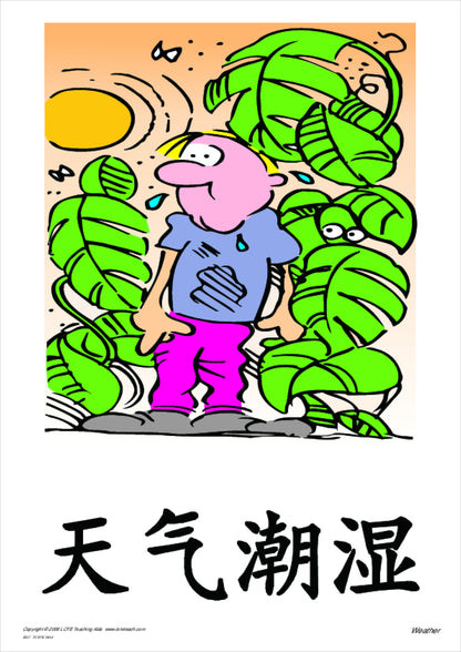 The Weather Vocabulary Cards