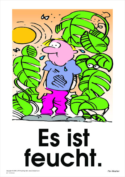 The Weather Vocabulary Cards