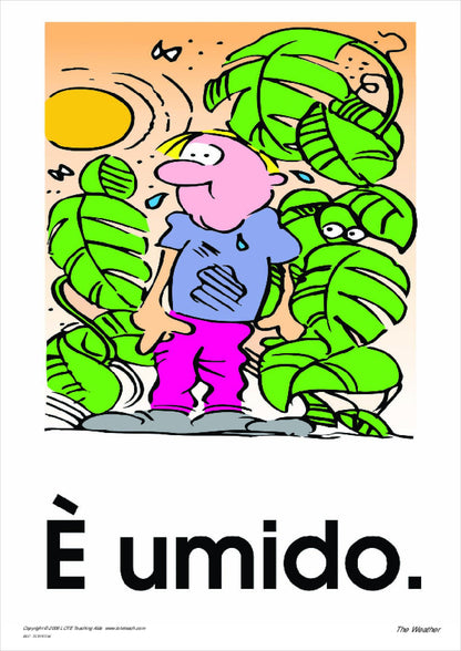 The Weather Vocabulary Cards