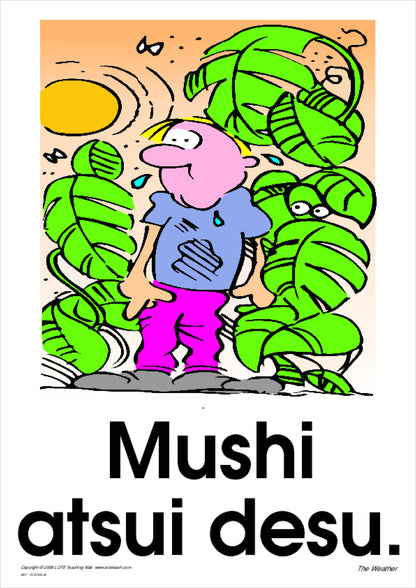 The Weather Vocabulary Cards